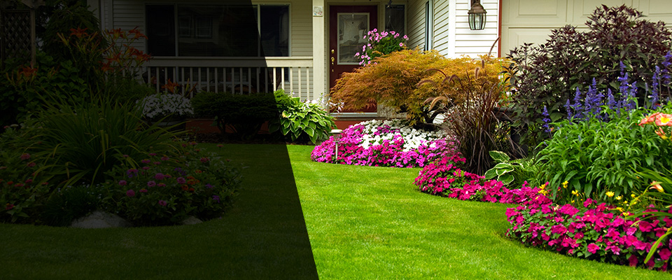 Coolidge Landscapers