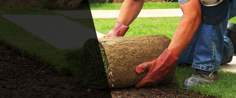 Coolidge Landscapers